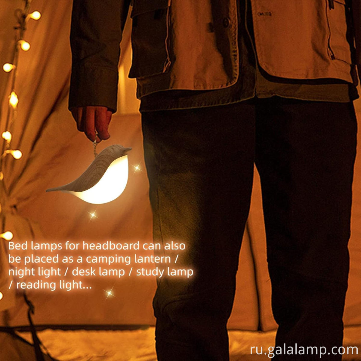 5_716FNM1PDJL._AC_SL1500_ 5_716fNM1PdJL._AC_SL1500_